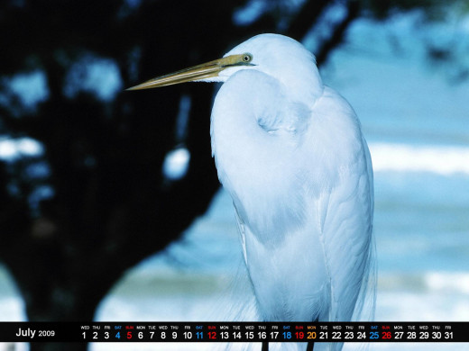 398975 (a): :1600x1200